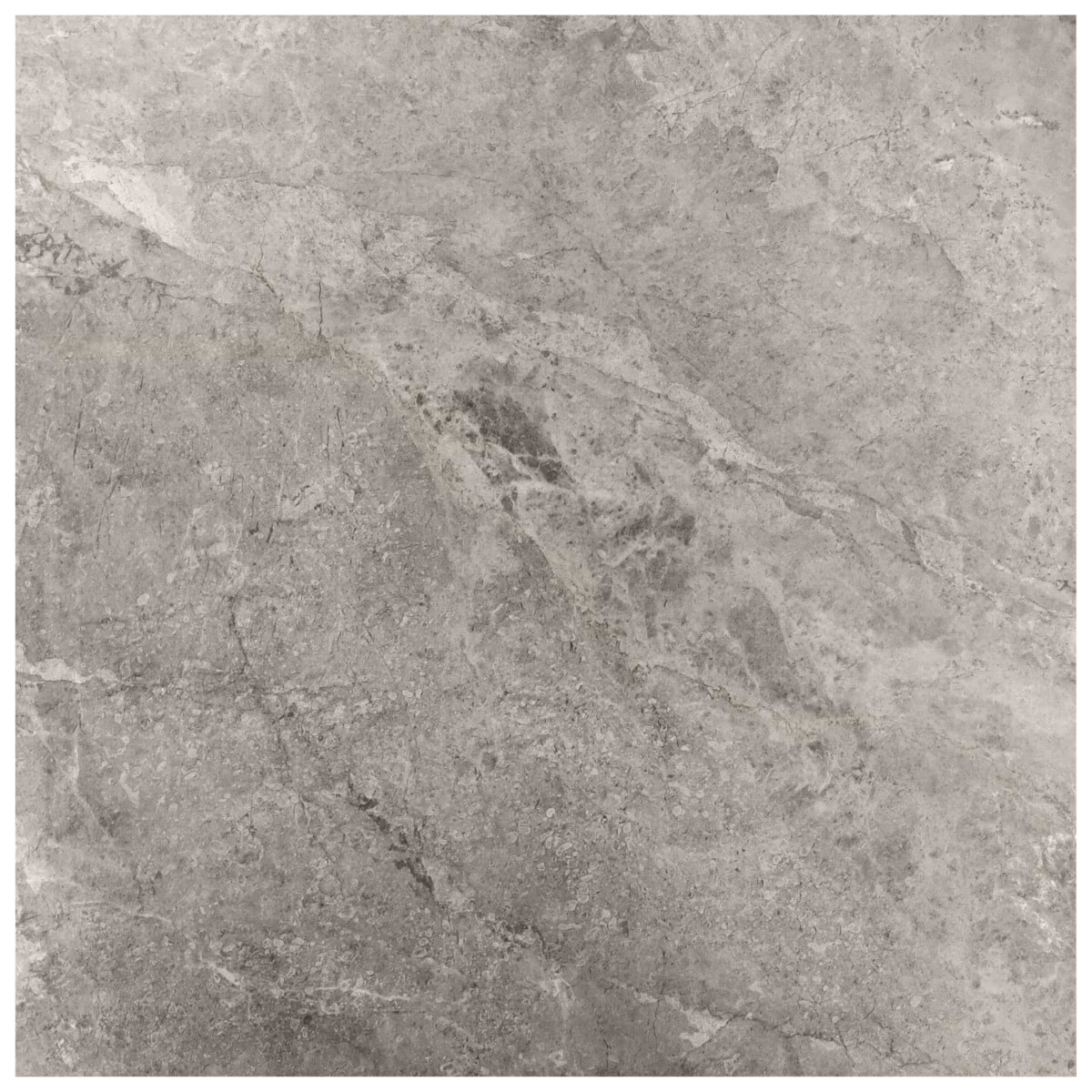 Thor Fossil Gray 36x36 Matte Porcelain Tile