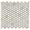 White Jade 1" Polished Marble Penny Round Mosaic Tile