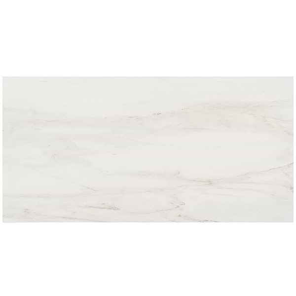 DreamStone Dolomite Snow 12x24 Matte Porcelain Tile