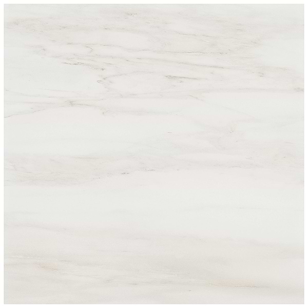 DreamStone Dolomite Snow 24x24 Matte Porcelain Tile