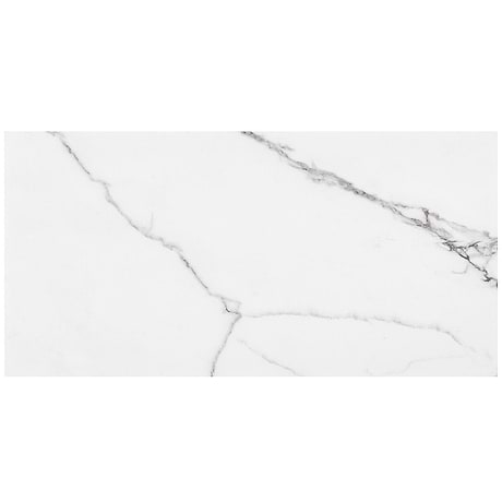 DreamStone Statuario Venato 12x24 Matte Porcelain Tile