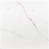 Calacatta Oro 18x18 Polished Marble Tile 