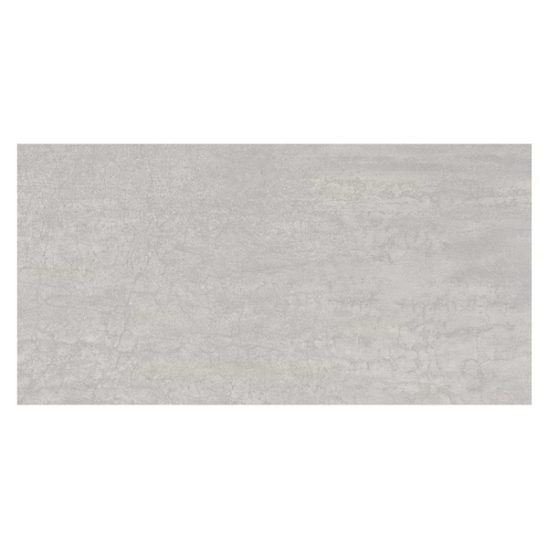 Ecliptic Chrome Gray 24x48 Matte Porcelain 2CM Outdoor Paver