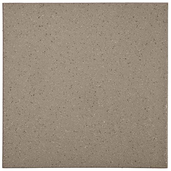 Elemental Ironspot Gray 8x8 Ceramic Quarry Tile
