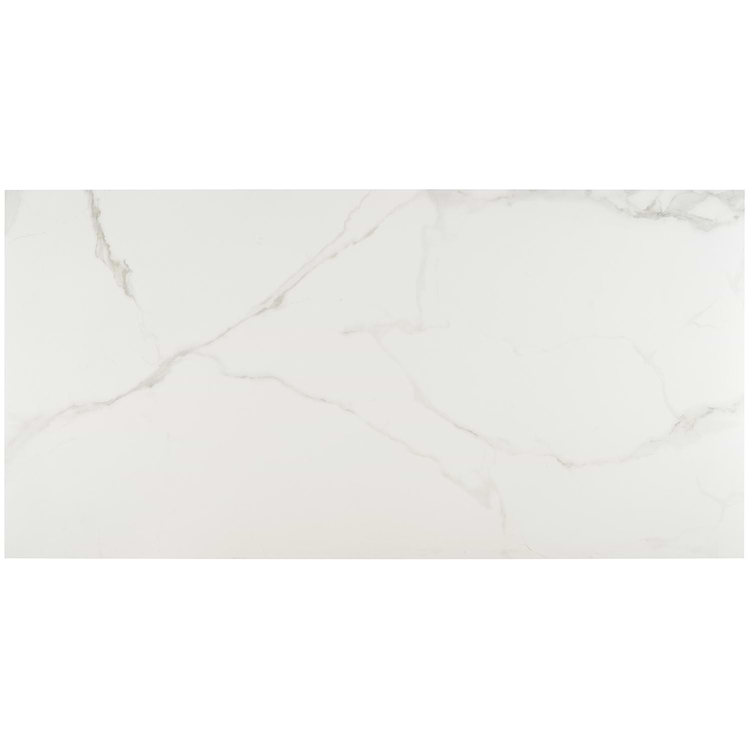 TileBarXL Marmi White Calacatta Matte 24"X48" Porcelain Tile