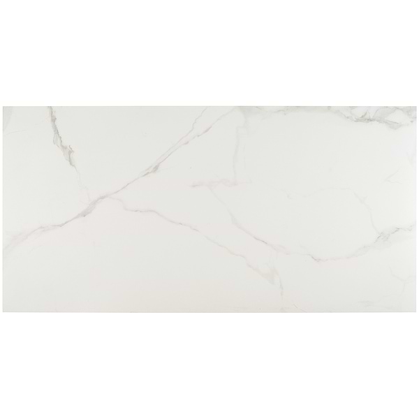 TileBarXL Marmi White Calacatta Honed 24"X48" Porcelain Tile