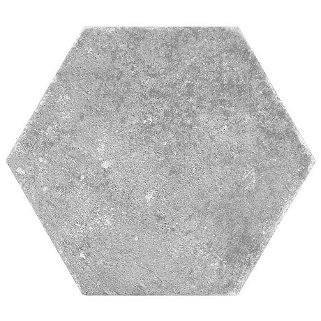 Terra Pompeii Gris Gray 8