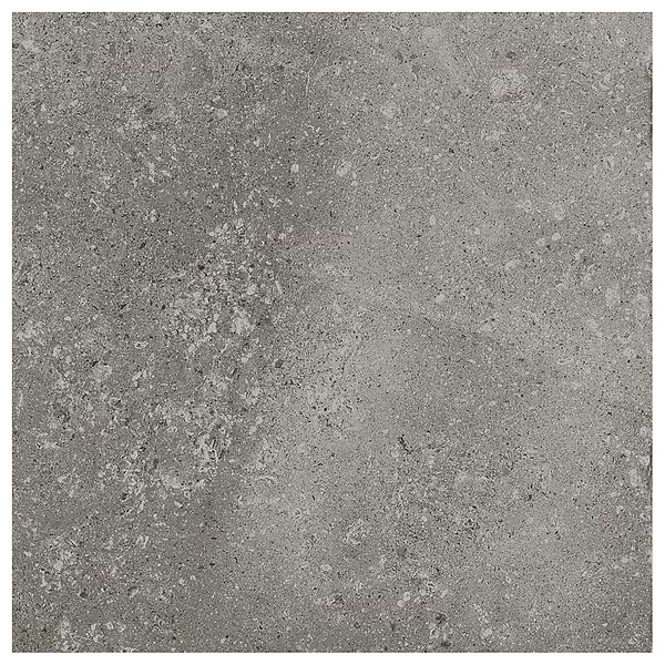 Sample-New Rock Fossil Dark Gray Limestone Look Matte Porcelain Tile