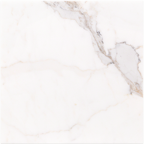 Calacatta Oro 12x12 Polished Marble Tile