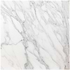 Calacatta Oro 18x18 Polished Marble Tile 
