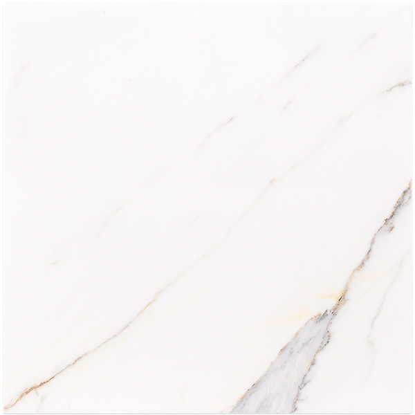 Calacatta Oro 12x12 Polished Marble Tile