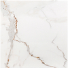Calacatta Oro 18x18 Polished Marble Tile 