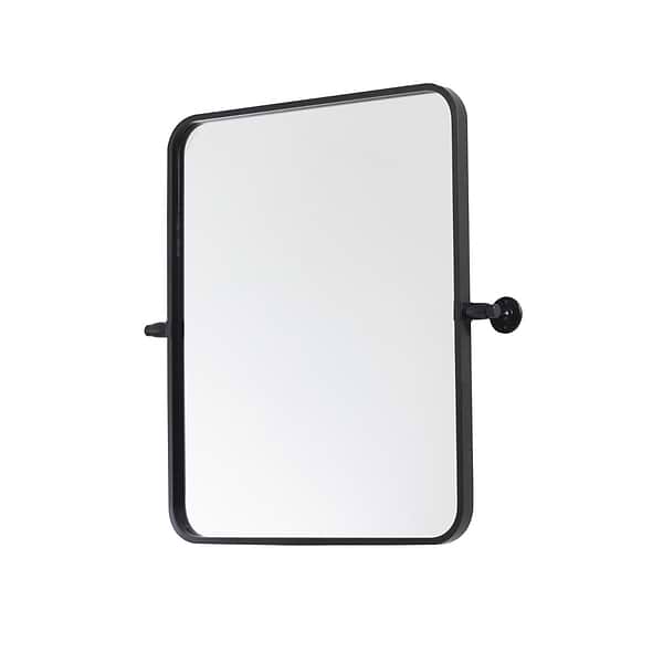 Liora Matte Black 20x24" Rectangle Tilt Mirror