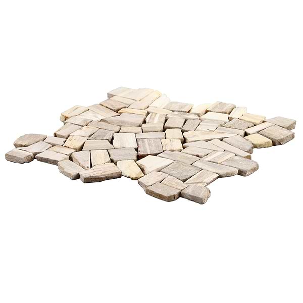 Fossil Tumbled Petrified Stone Mosaic