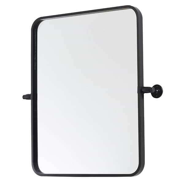 Liora Matte Black 20x24" Rectangle Tilt Mirror