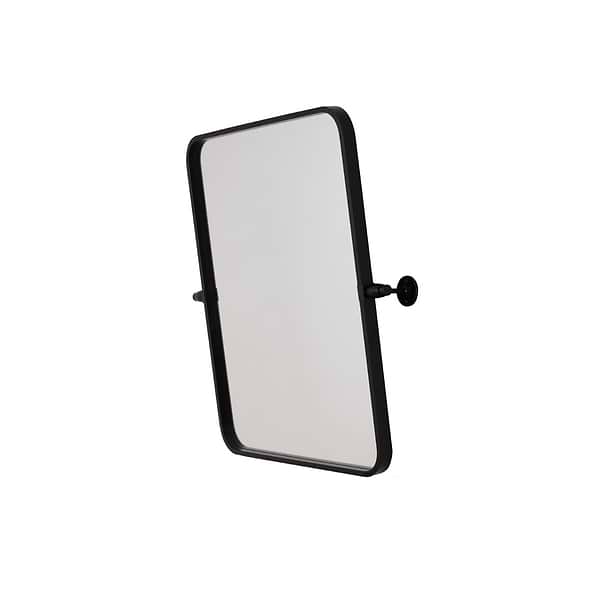 Liora Matte Black 20x24" Rectangle Tilt Mirror