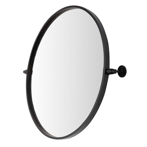 Liora Matte Black 24" Round Tilt Mirror
