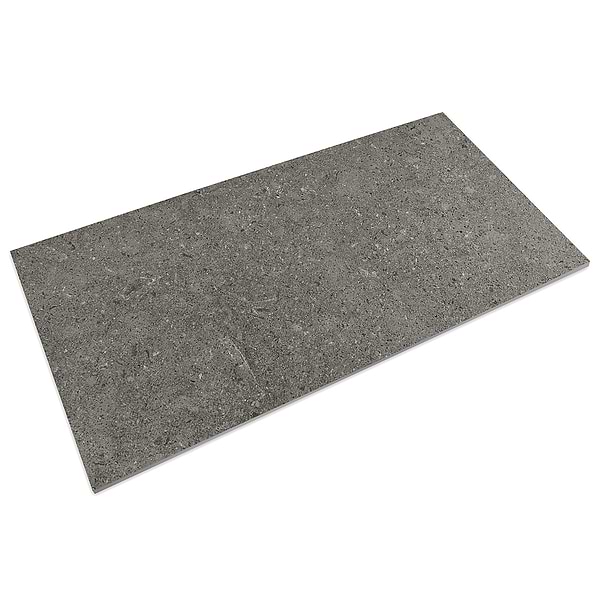 Sample-New Rock Fossil Dark Gray Limestone Look Matte Porcelain Tile