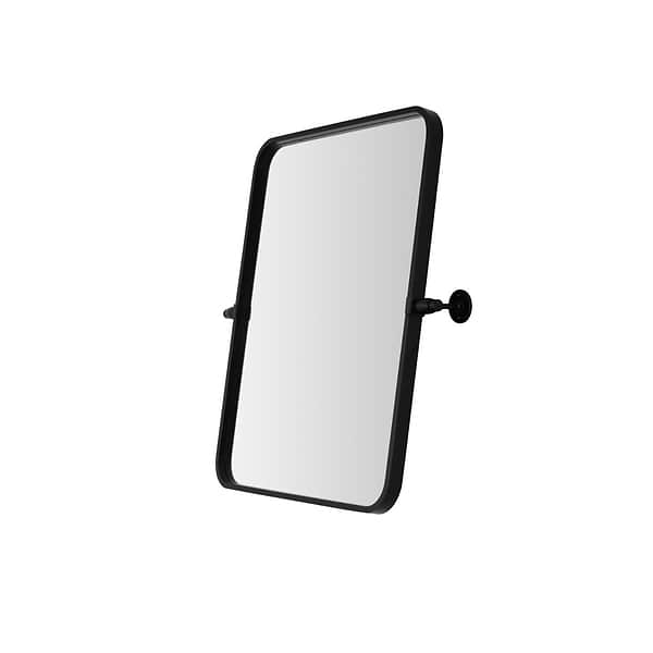 Liora Matte Black 20x24" Rectangle Tilt Mirror