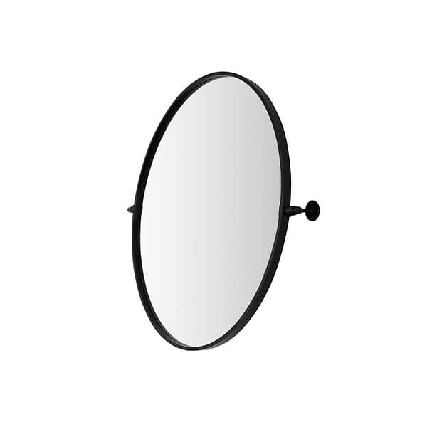 Liora Matte Black 30" Round Tilt Mirror