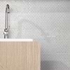 Eden Antiguan Sky Gray 1" Rimmed Penny Round Polished Porcelain Mosaic; in Gray Porcelain; for Backsplash, Bathroom Floor, Bathroom Wall, Commercial Floor, Floor Tile, Kitchen Floor, Kitchen Wall, Outdoor Wall, Shower Floor, Shower Wall, Wall Tile; in Style Ideas Classic, Contemporary, Mid Century; released 2025; new, trends