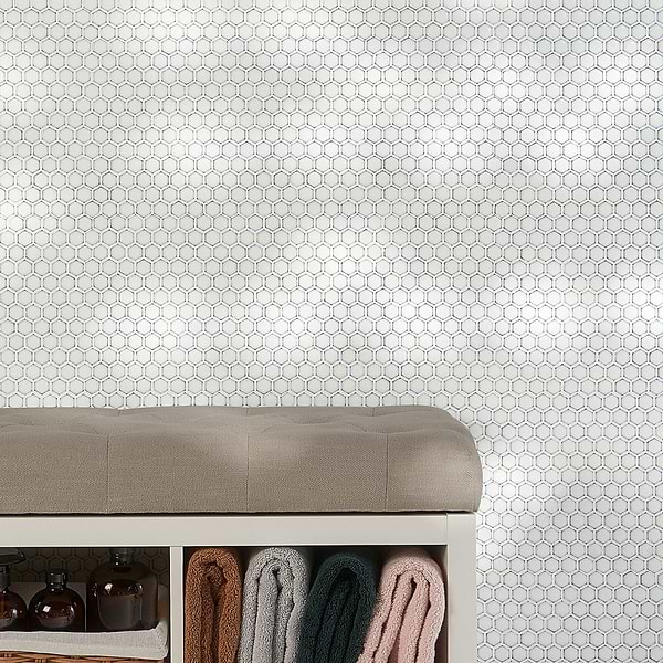 Eden Winter White Rimmed 1" Hexagon Polished Porcelain Mosaic
