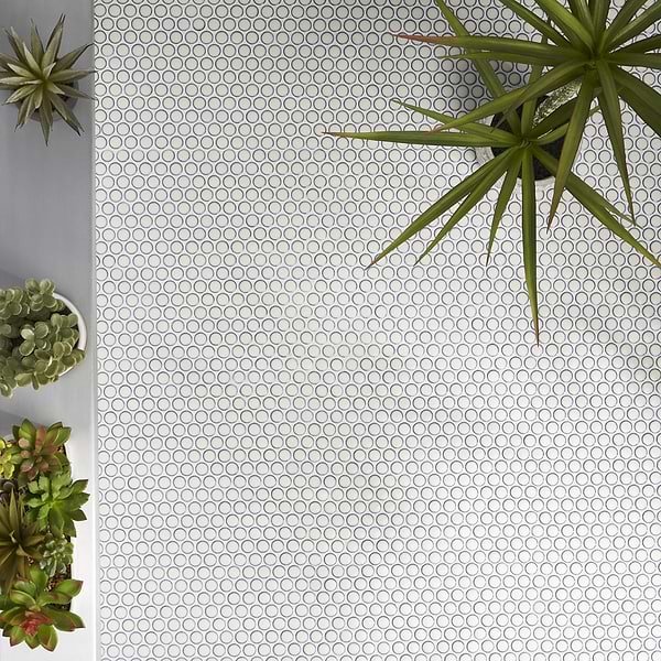Eden Winter White 1" Penny Round Polished Rimmed Porcelain Mosaic