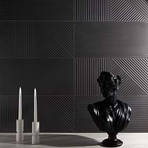 Disco-Sample-Renzo Grafite Black 3D Matte Porcelain 12x24 Tile