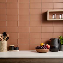 Stacy Garcia Maddox Frame Terracotta Orange 4x8 Matte Ceramic Subway Tile