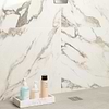 DreamStone Calacatta Rustico 24x24 Polished Porcelain Tile