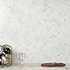 Alaska White 1x3 Herringbone Polished Marble Mosaic; in White Marble; for Backsplash, Bathroom Floor, Bathroom Wall, Commercial Floor, Floor Tile, Kitchen Floor, Kitchen Wall, Outdoor Floor, Outdoor Wall, Shower Floor, Shower Wall, Wall Tile; in Style Ideas Classic, Contemporary, Mid Century, Traditional, Transitional; released 2025; new, trends