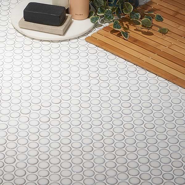 Nirvana Snow Rimmed 1" Penny Round White  Polished Porcelain Mosaic