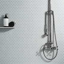 Eden Modern Gray Rimmed 1" Hexagon Polished Porcelain Mosaic