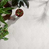 Parma Cruz White 5x8 Terracotta Look Polished Porcelain Tile