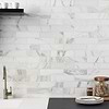 Calacatta Gold 2x8 Honed Marble Subway Tile; in White  Marble; for Backsplash, Bathroom Floor, Bathroom Wall, Commercial Floor, Floor Tile, Kitchen Floor, Kitchen Wall, Outdoor Floor, Outdoor Wall, Shower Floor, Shower Wall, Wall Tile; in Style Ideas Art Deco, Classic, Contemporary, Mid Century, Traditional, Transitional; released 2025; new, trends