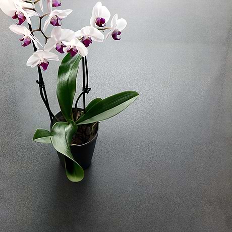 Metallic Look Porcelain Tile for Backsplash,Shower Wall,Kitchen Floor,Bathroom Floor,Kitchen Wall,Bathroom Wall,Commercial Floor,Outdoor Wall