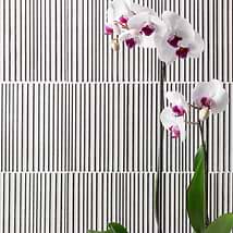 Arden Galao White 6x10 Glossy Porcelain Tile