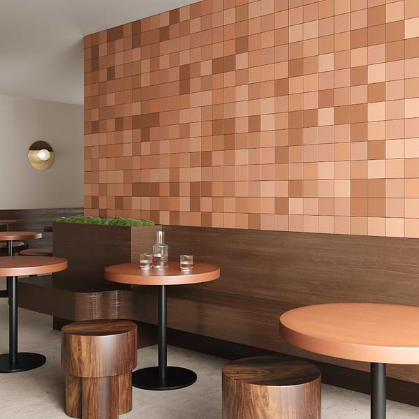 Born Terracotta 5x5 Matte Porcelain Tile
