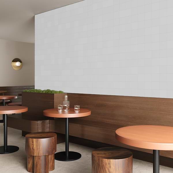 Born White 5x5 Matte Porcelain Tile