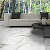 Statuario 12X24