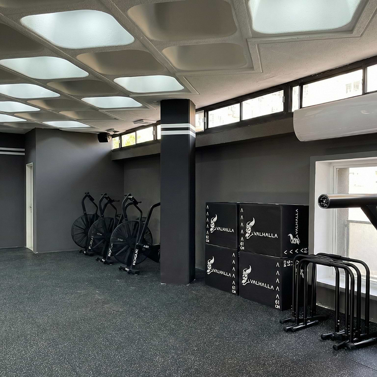 TH6