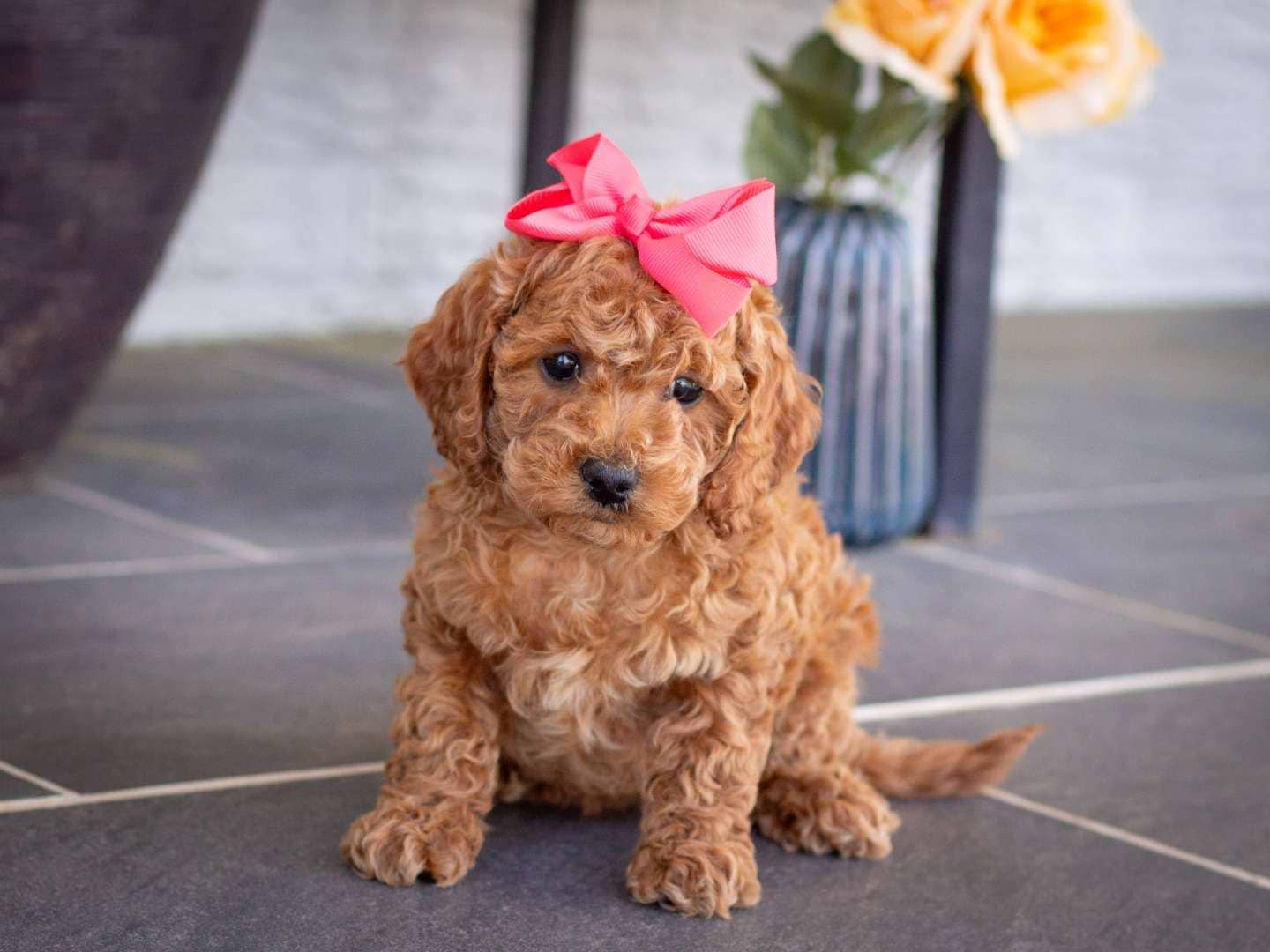 Brinley