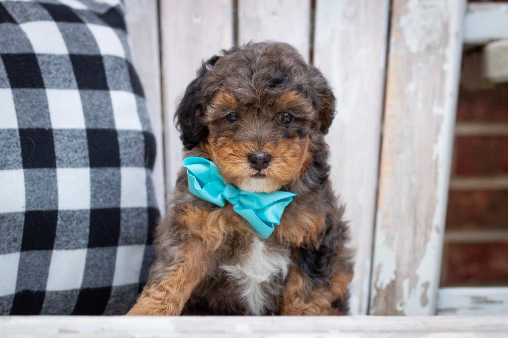 Maverick