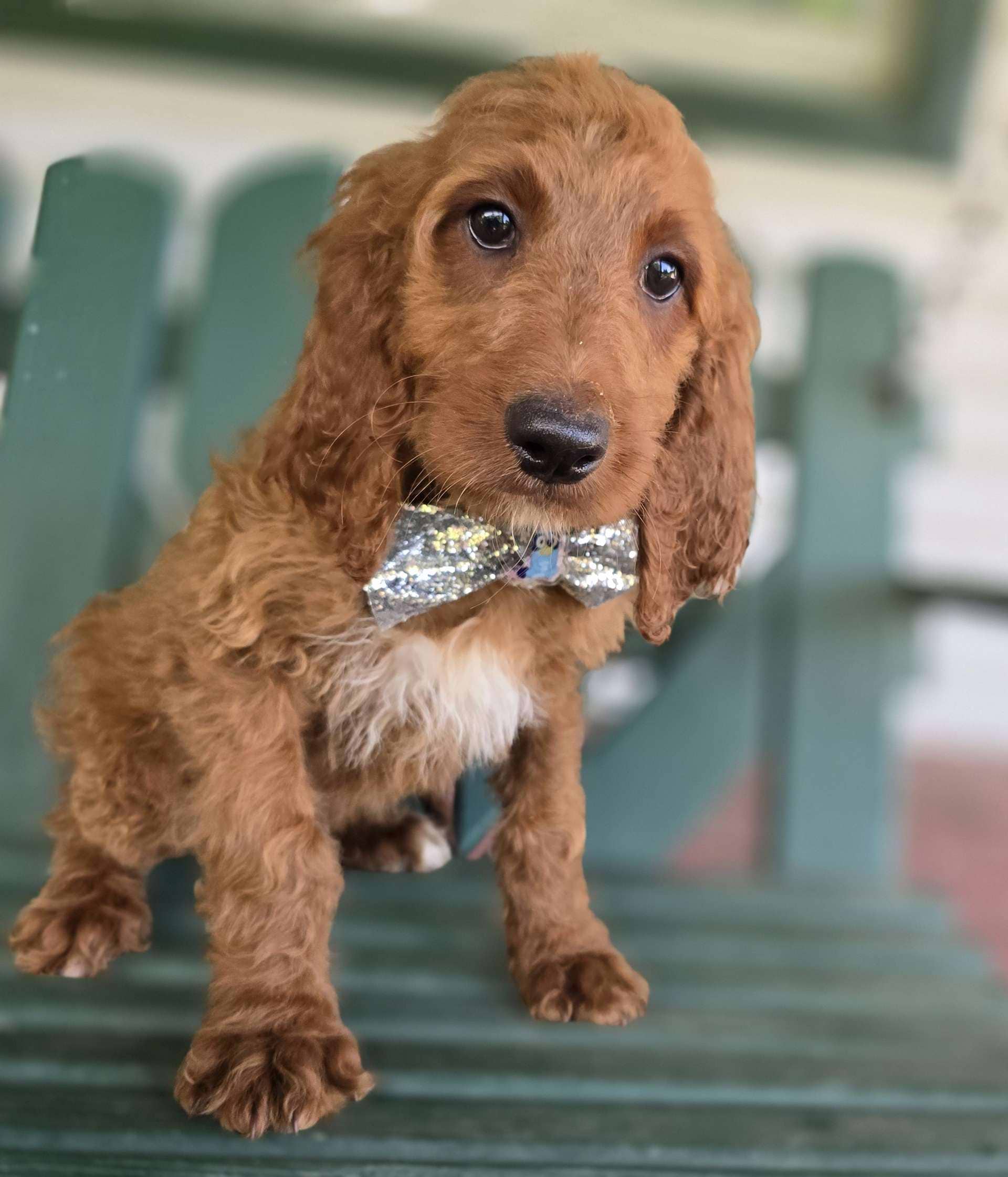 Samson
