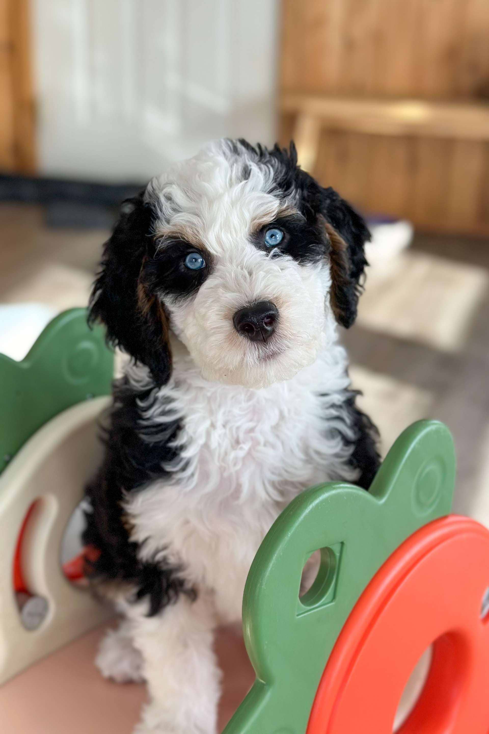 Tater