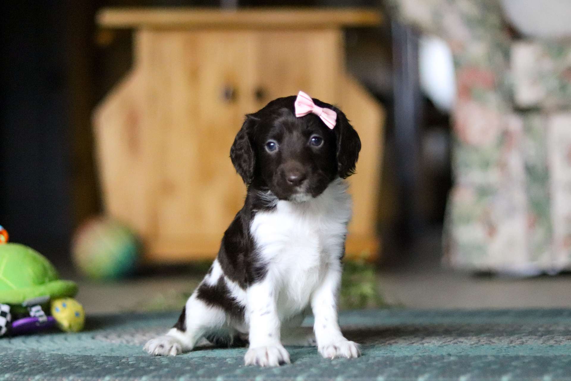 Nala