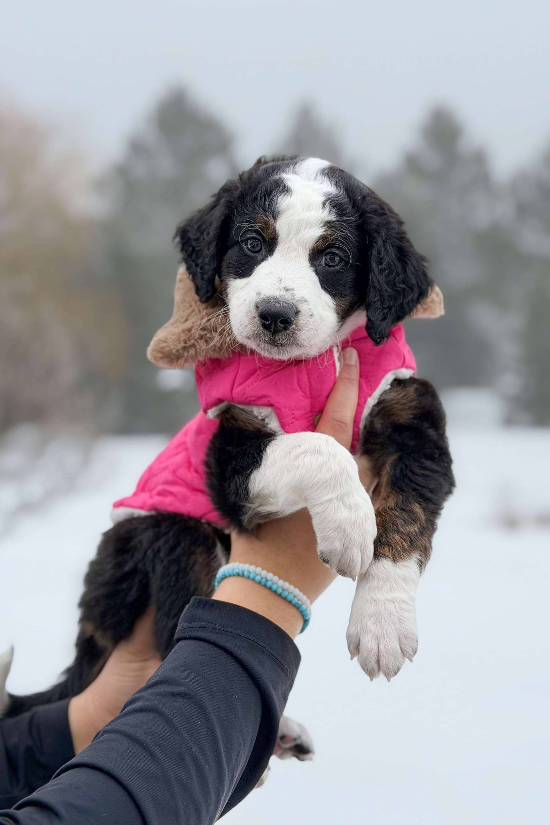 Flurry