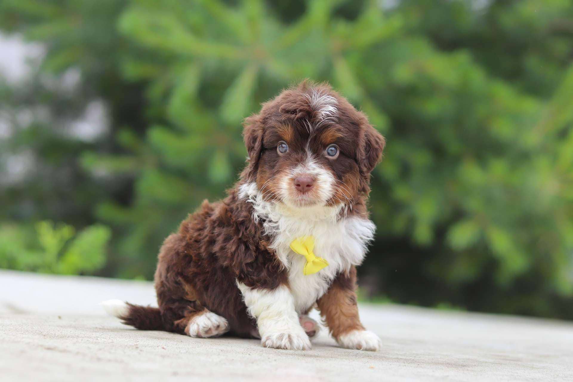Eugene
