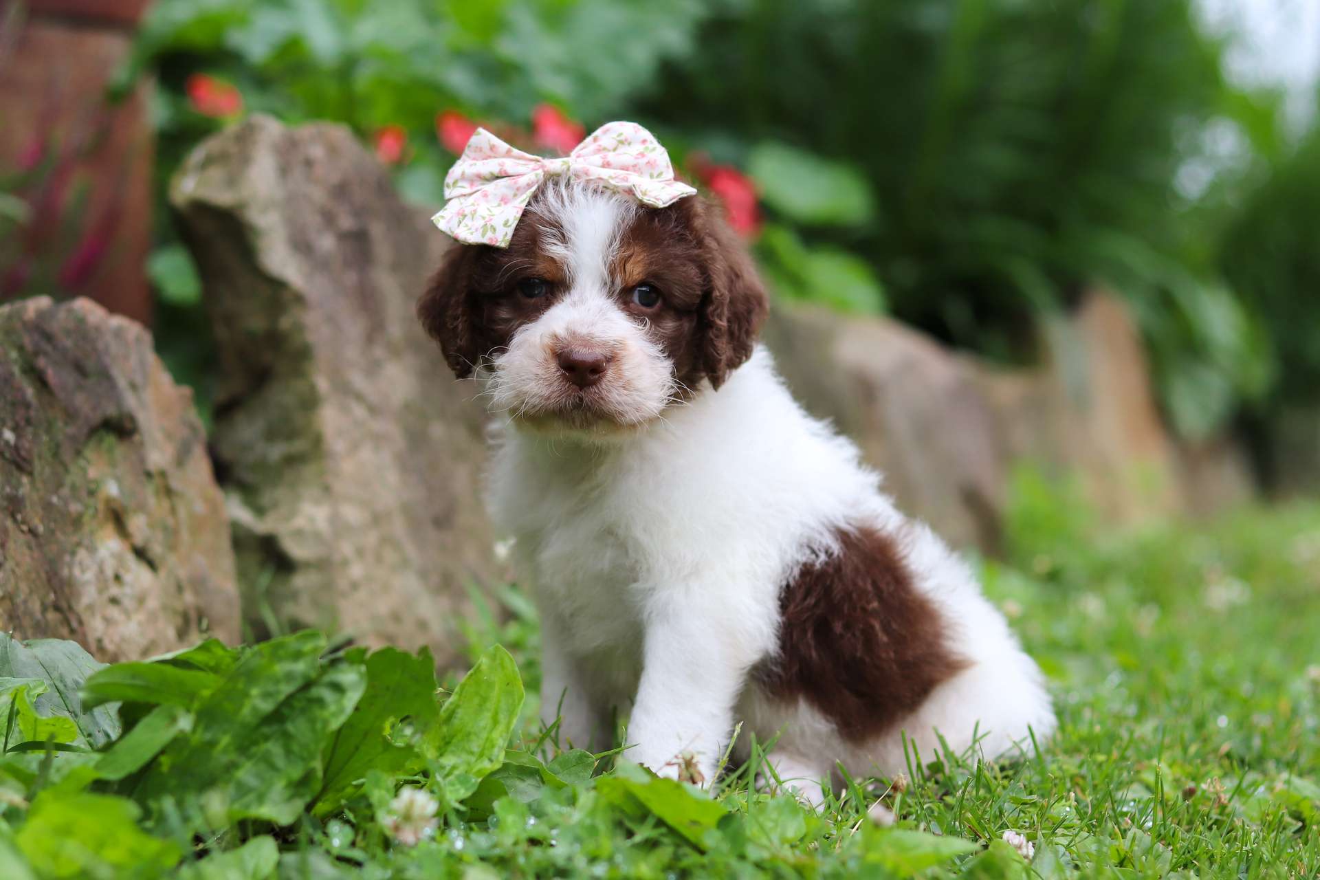 Tilly