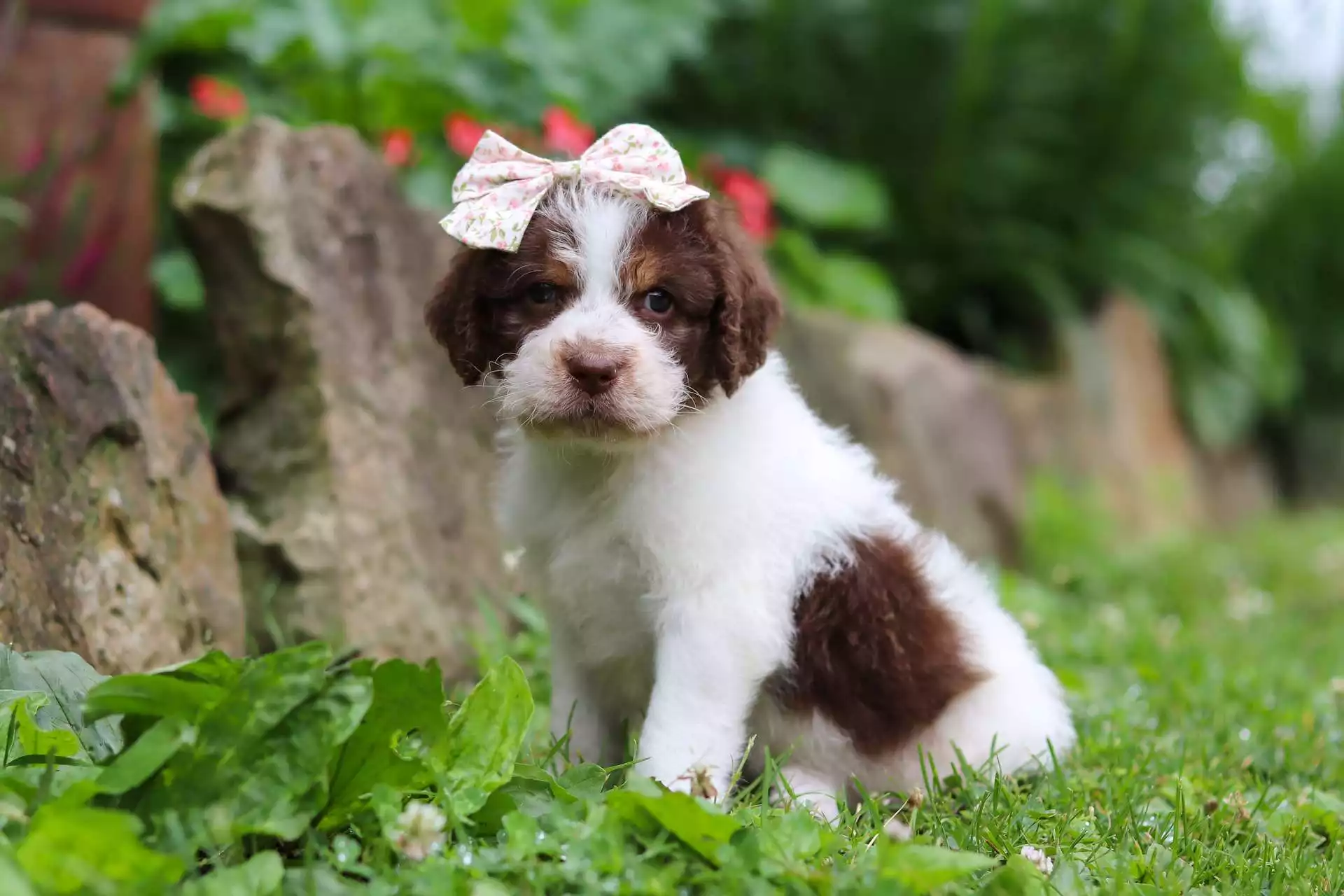 Tilly